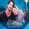 Journey To Bethlehem Diamond Painting