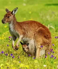 Kangaroo And Baby Diamond Painting