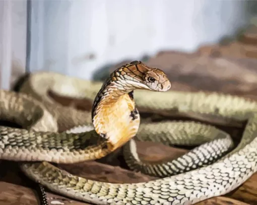 King Cobra Snake Diamond Painting