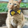 Kitten With Bowtie Diamond Painting