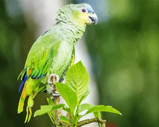 Lilacine Amazon Bird Diamond Painting