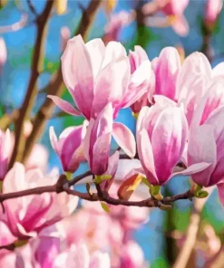 Magnolia Tree Diamond Painting