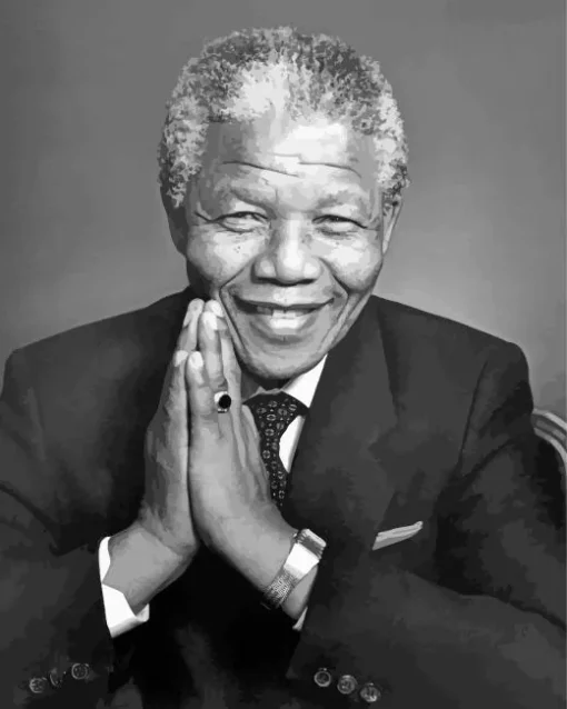 Nelson Mandela Diamond Painting