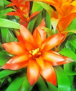 Orange Bromeliad Plant Diamond Painting
