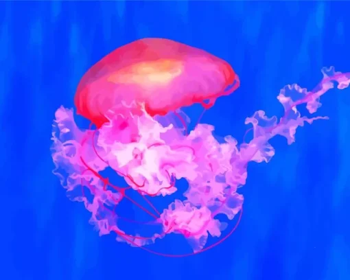 Pink Jellyfish Diamond Painting
