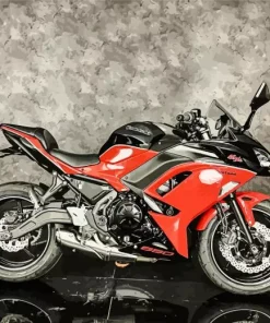 Red Kawasaki Motorcycle Diamond Painting