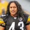 Troy Polamalu Art Diamond Painting