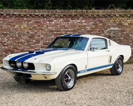 White Ford 500gt Diamond Painting