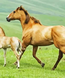 Baby And Mama Horse Diamond Painting
