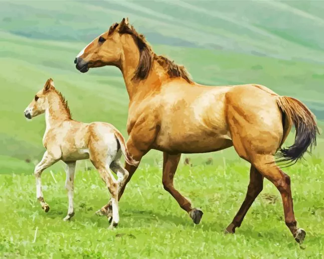 aby and mama horse Diamond Paintings Baby And Mama Horse Diamond Painting