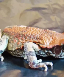 African Red Toad Diamond Painting