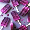 Blackberry Popsicles Diamond Painting