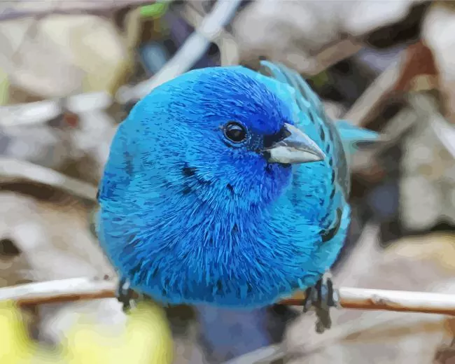 Canary Blue Bird Diamond Paintings Canary Blue Bird Diamond Painting