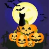 Halloween Cat And Bats at Night Diamond Painting