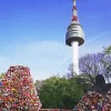 Love Lock of Seoul Tower Diamond Painting