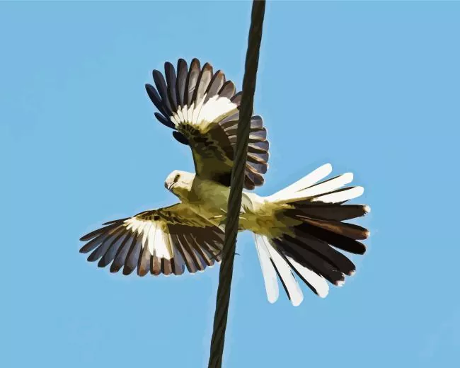 Mockingbird Diamond Paints Mockingbird Diamond Painting