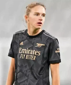 Vivianne Miedema Diamond Painting