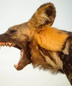 African Wild Dog Diamond Painting
