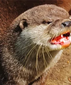 Angry Otter Diamond Painting