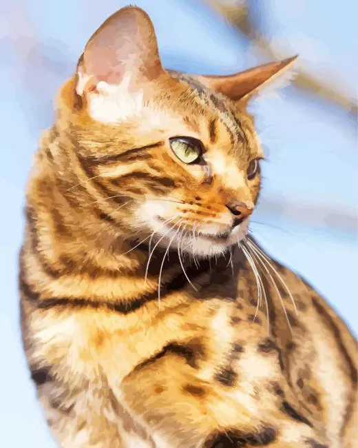 bengal cat Diamond Paintings Bengal Cat Diamond Painting