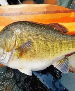 Black Bass Fish Diamond Painting