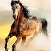 Brown Mustang Horse Diamond Painting