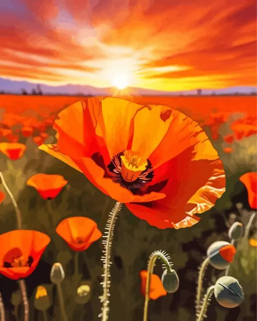 california poppy field Diamond Paintings California Poppy Field Diamond Painting