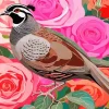 California Quail And Roses Diamond Painting