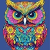 Colorful Owl Bird Diamond Painting