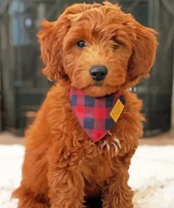 Cool Golden Red Doodle Diamond Painting