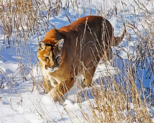 cougar mountain lion Diamond Paintings