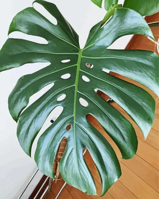 green monstera leaves Diamond Paints Green Monstera Leaves Diamond Painting