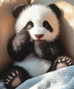 Little Sad Panda Diamond Painting