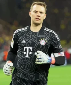 Manuel Neuer Diamond Painting