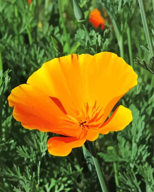 mexican gold poppy Diamond Paintings Mexican Gold Poppy Diamond Painting