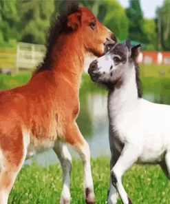 Miniature Horse Diamond Painting