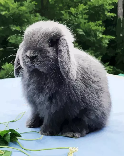 miniature lop bunny Diamond Dotz Miniature Lop Bunny Diamond Painting