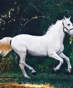 Morgan Horse Diamond Painting