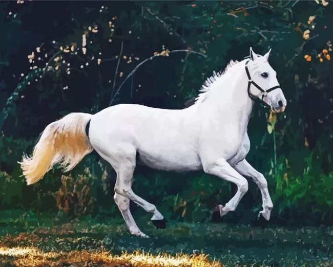 morgan horse Diamond by Numbers Morgan Horse Diamond Painting