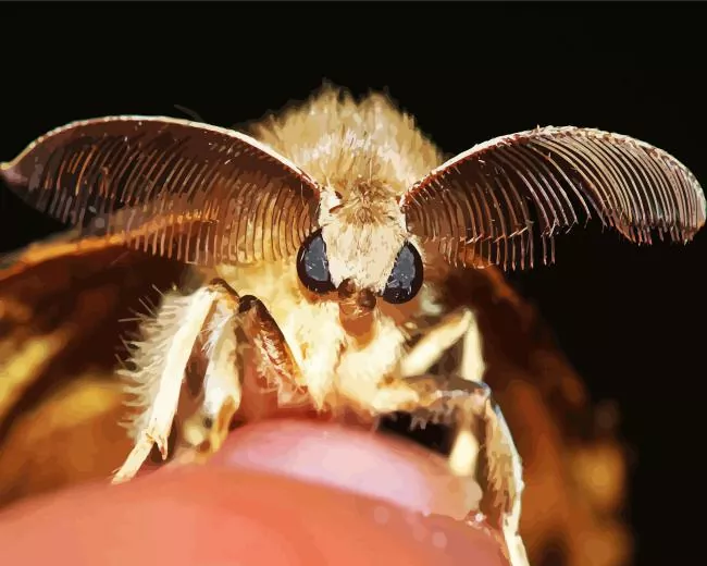 moth face insect Diamond Dotz Moth Face Insect Diamond Painting