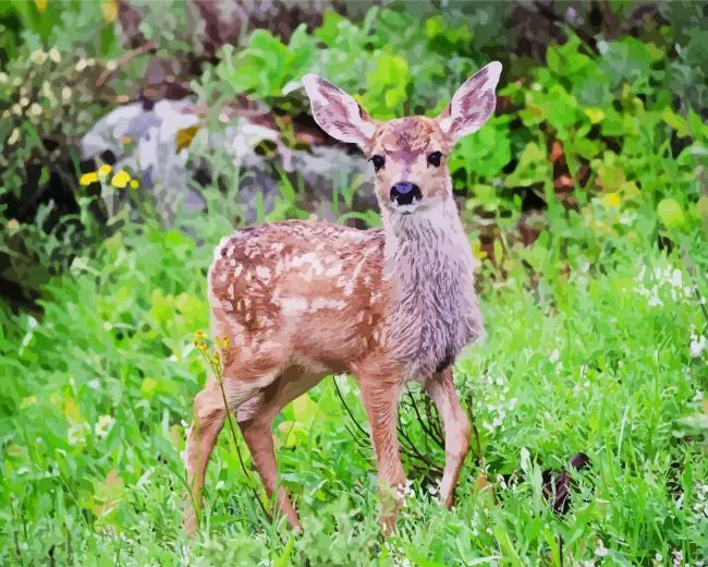 mule deer Diamond Paintings Mule Deer Diamond Painting
