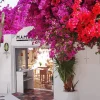 Mykonos Flowers Diamond Painting