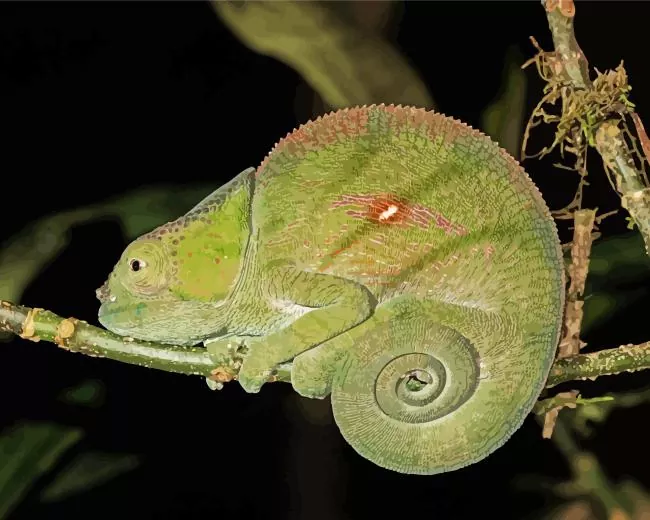 nadzikambia Diamond Paintings Nadzikambia Diamond Painting