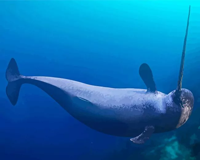 narwhal animal Diamond Paintings Narwhal Animal Diamond Painting