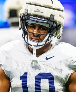 Nick Singleton Diamond Painting