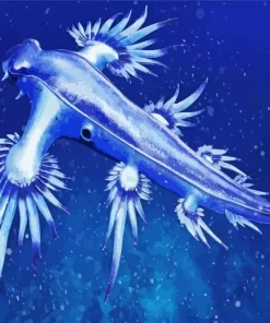 Nudibranch Blue Diamond Painting