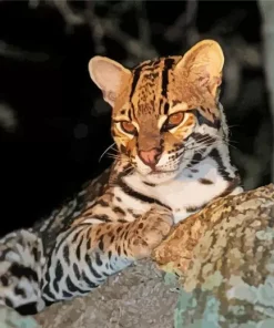 Ocelot Wild cat Diamond Painting