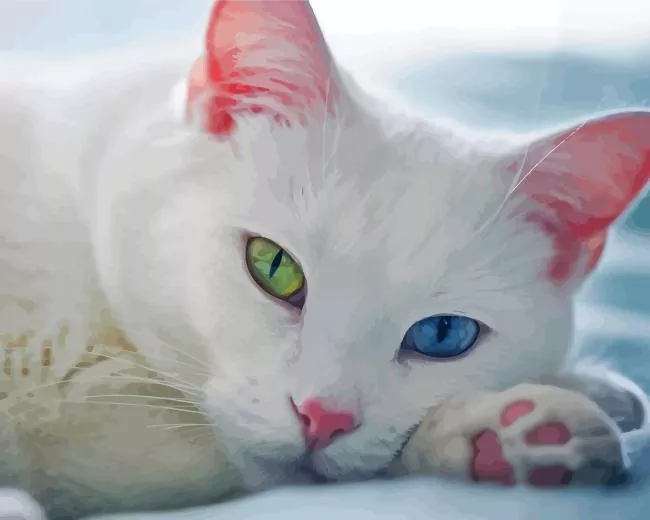 odd eyed white cat Diamond Paints Odd Eyed White Cat Diamond Painting