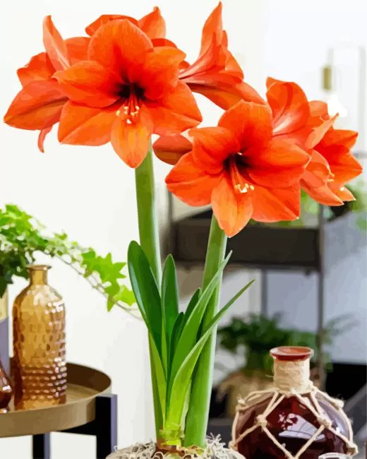 orange amaryllis Diamond By Numbers Orange Amaryllis Diamond Painting