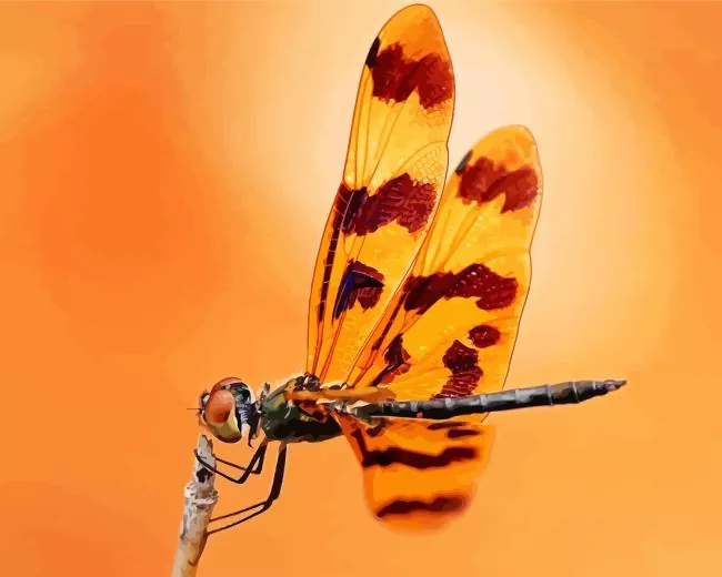 orange and black dragonfly Diamond Paintings Orange And Black Dragonfly Diamond Painting